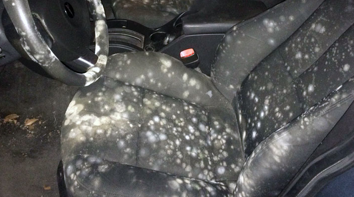 How To Get Mould Out Of Your Car.